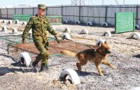 В ГВАРДИИ СЛУЖИТЬ ПРЕСТИЖНО