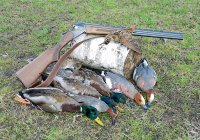 В Казахстане на три года запретили весеннюю охоту на птиц