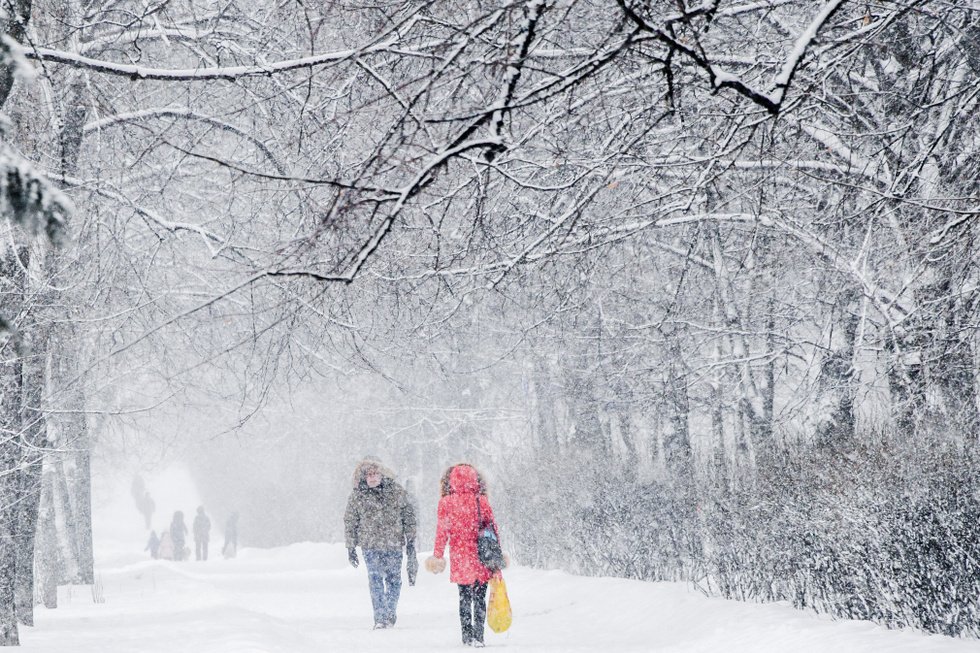 В Казахстане ожидаются снегопады и метели