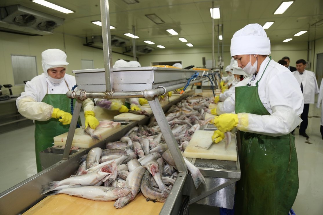 Растет экспорт рыбы