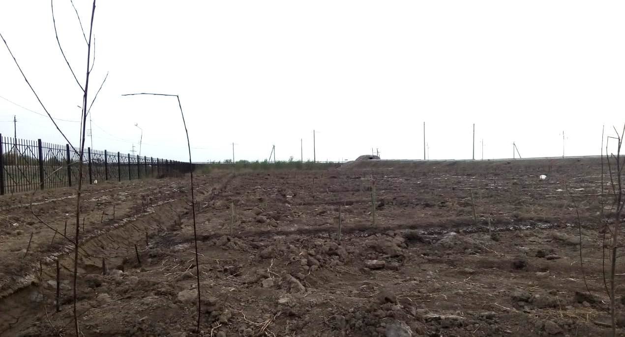 В Кармакшинском районе восстанавливают дендропарк