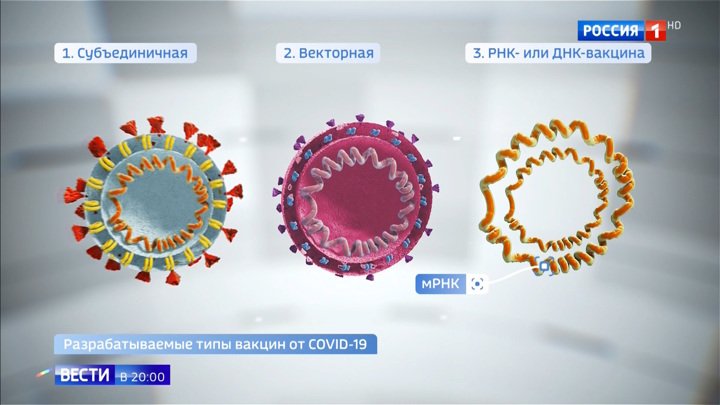Гонка, в которой не будет победителя: Россия и ряд стран работают над вакциной от вируса