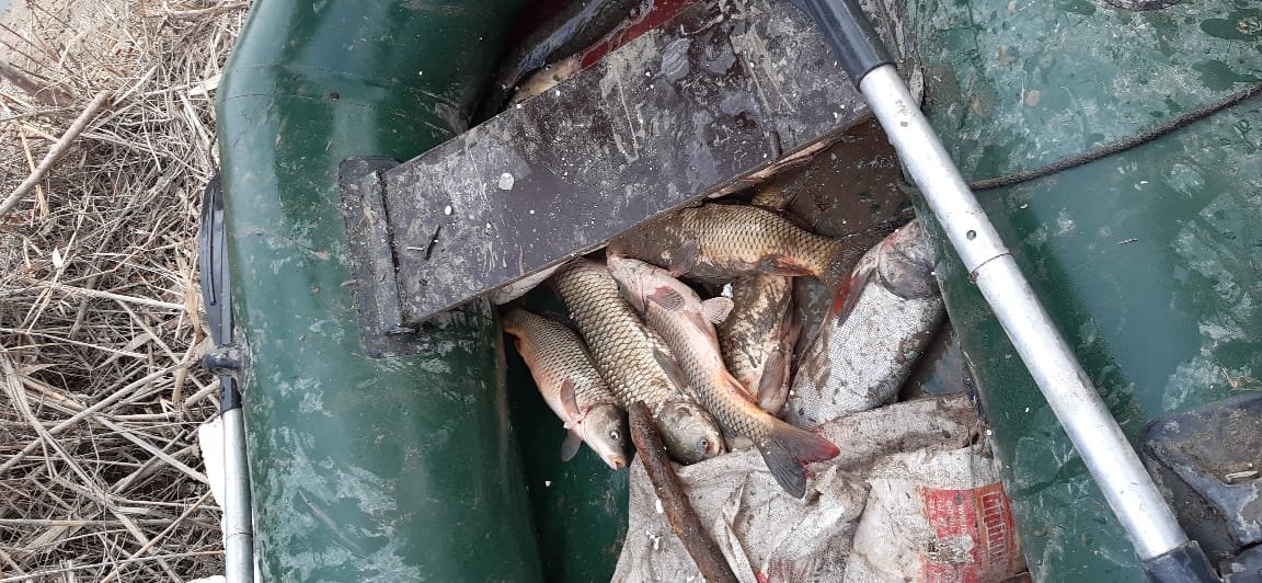 Лодку, сеть и 254 кг рыбы изъяли у жителя Кызылординской области