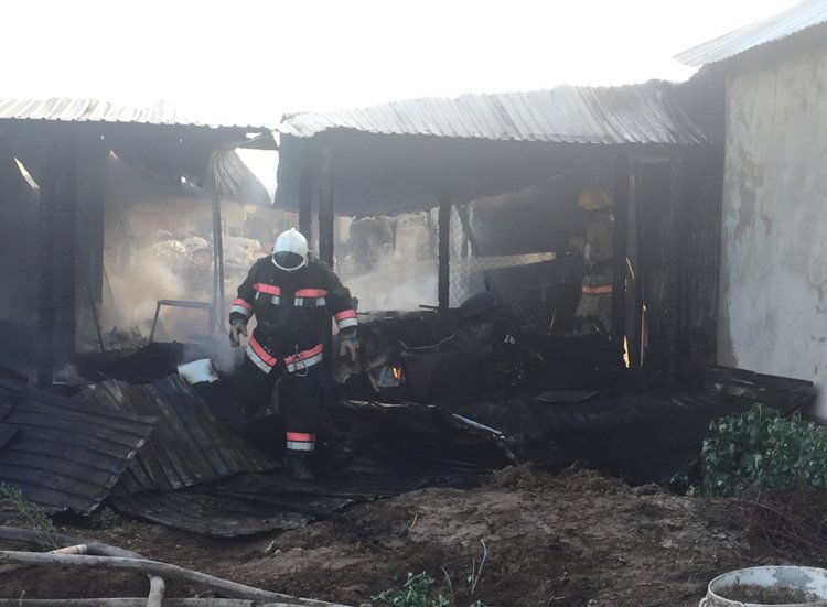 Кызылординские пожарные вынесли из огня шесть газовых баллонов