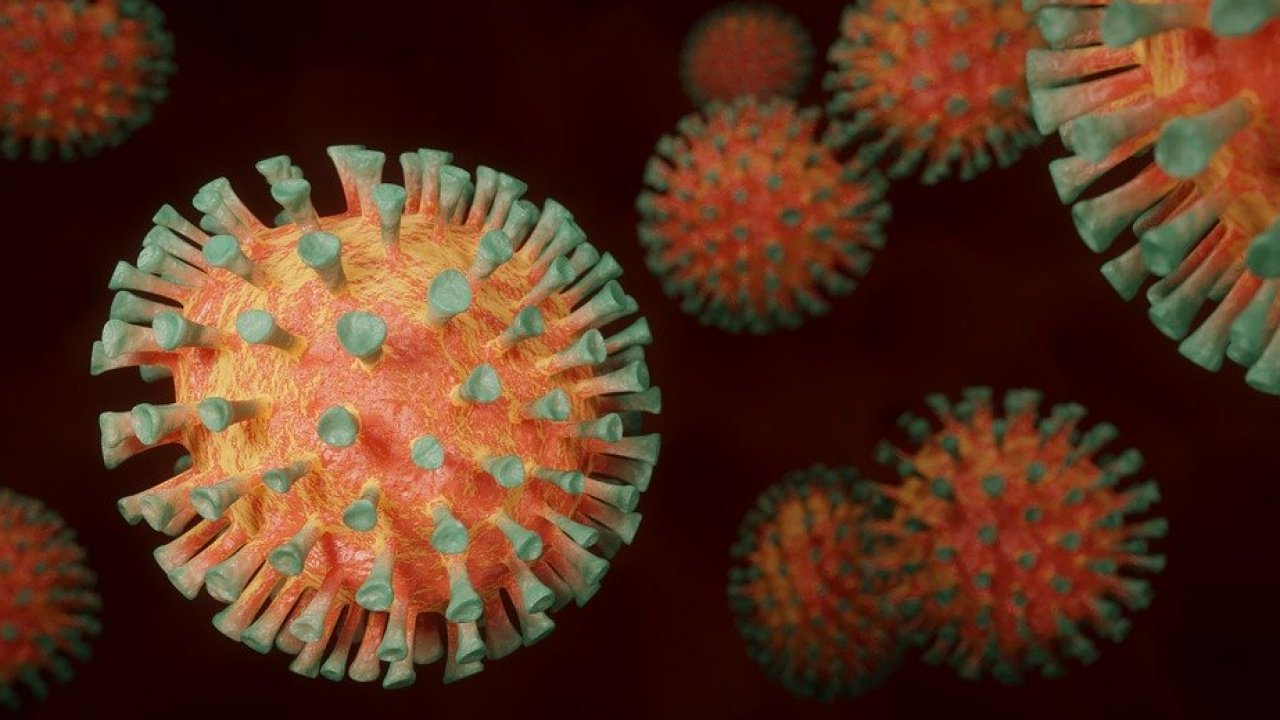 Коронавирус не мутировал - главный эпидемиолог Китая