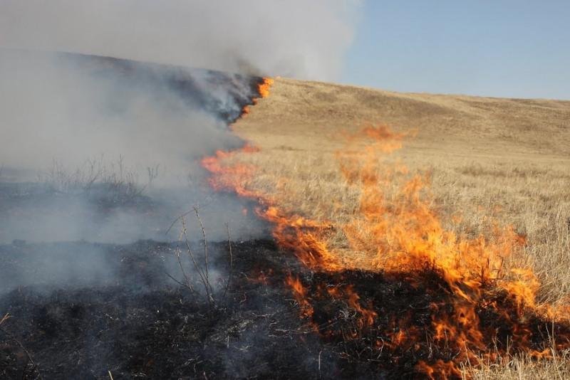 Увеличилось количество лесных пожаров