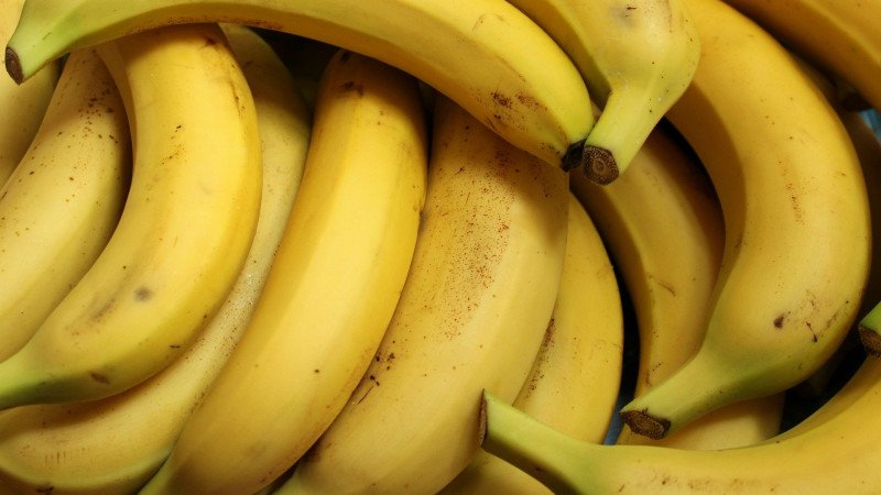 Бананы начали выращивать в Туркестанской области