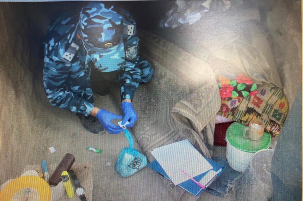 523 куста конопли обнаружили полицейские