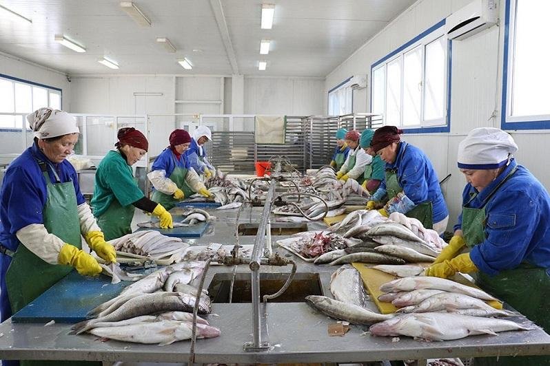 В Казахстане хотят расширить меры господдержки рыбным хозяйствам