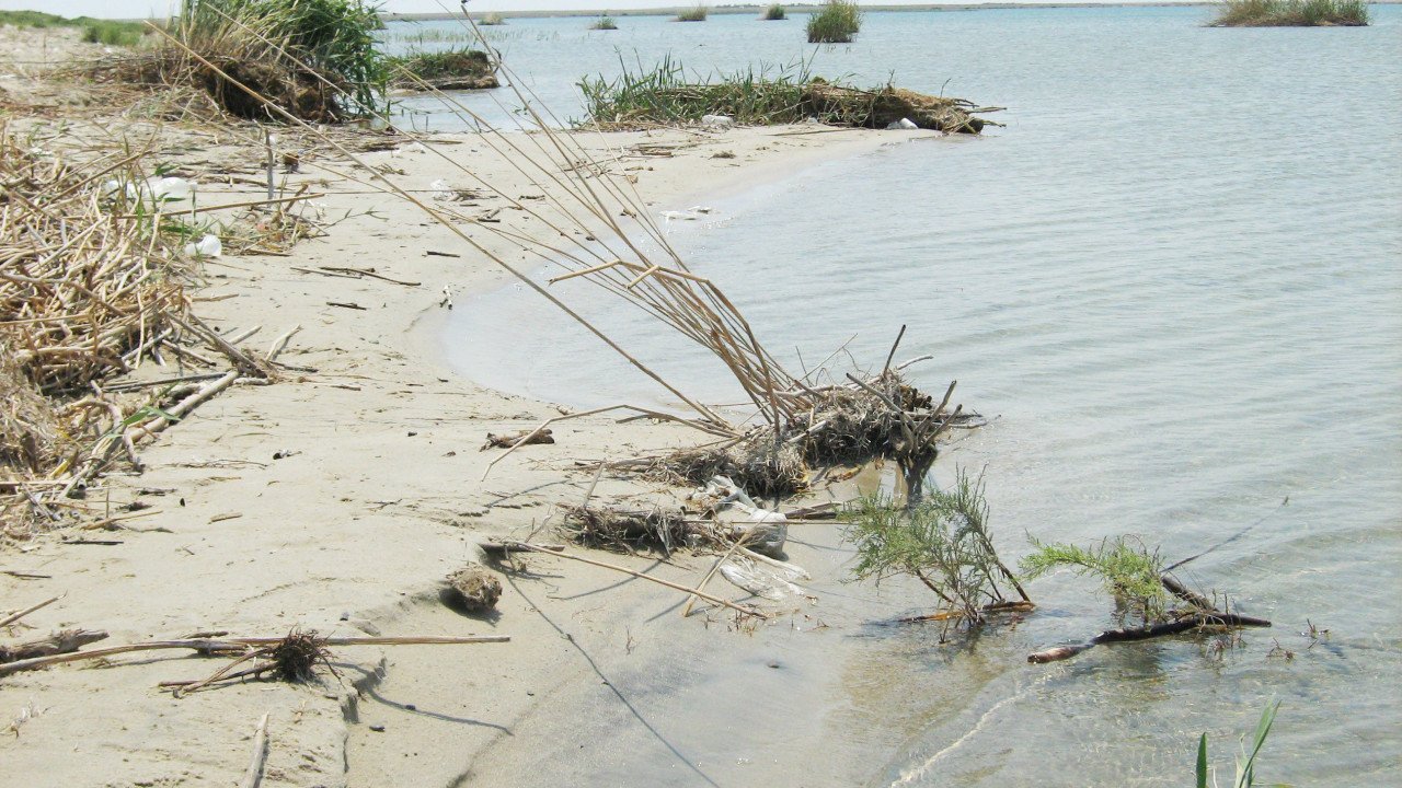 На грани экологической катастрофы оказалось озеро Камбаш