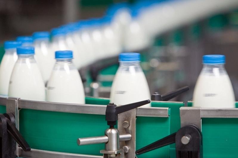В Казахстане увеличится производство молока